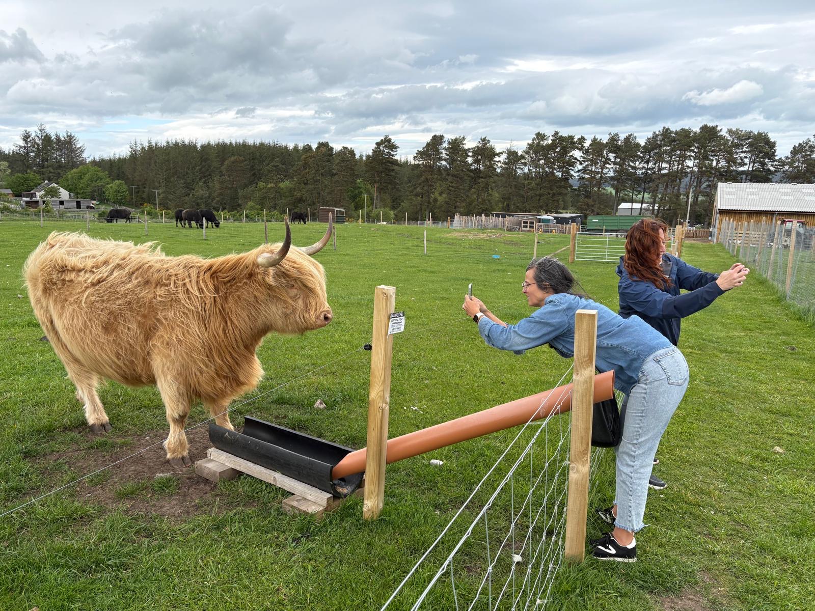 forres: school visit, pub quiz, snorkeling and more!